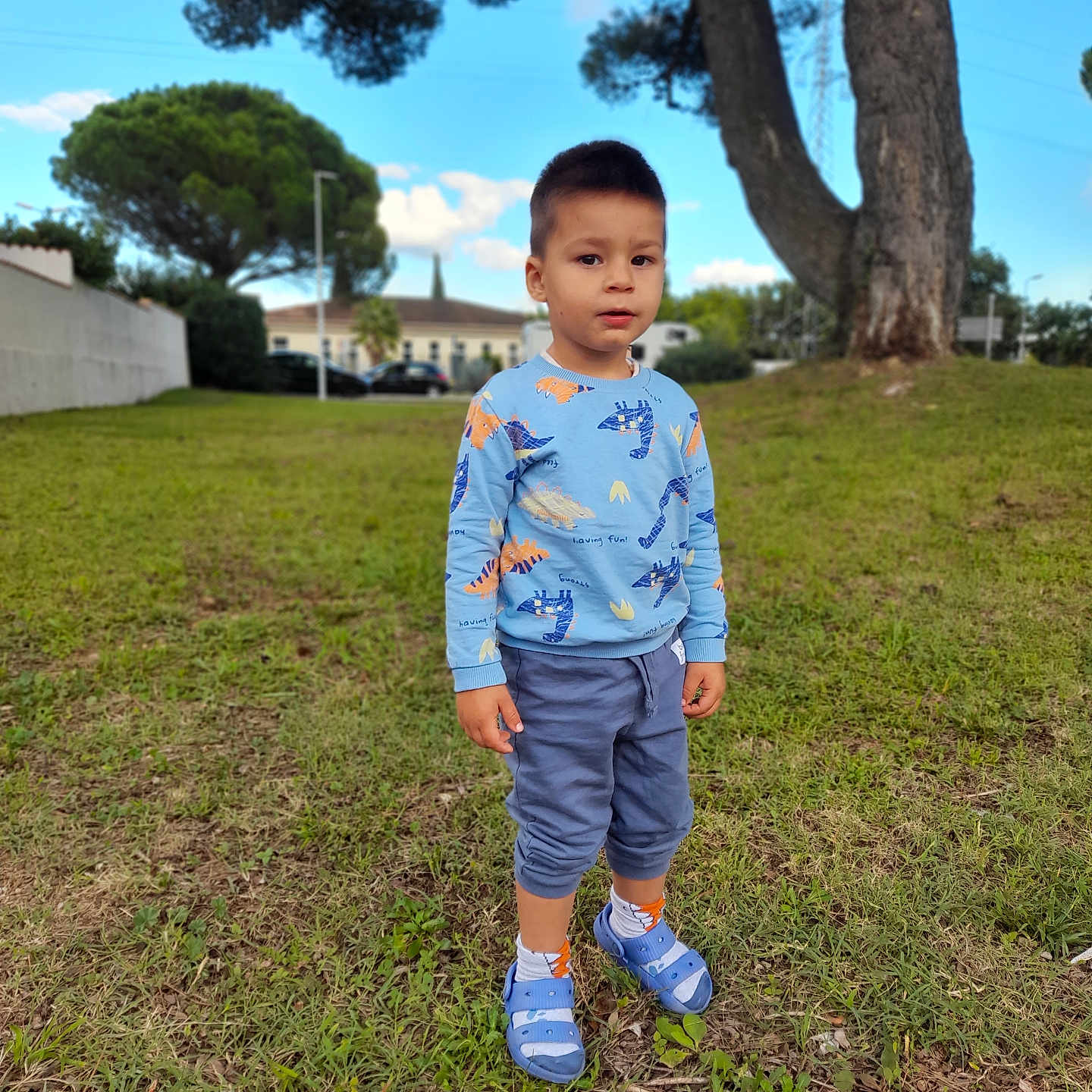 Steclariu a rejoint le concours — aidez-le/la à gagner de superbes lots ! blue_shoes, boy, building, casual_clothing, child, clouds, curious, daylight, dinosaur_sweater, grass, greenery, nature, outdoor, park, portrait, serious_expression, sky, standing, tree, young