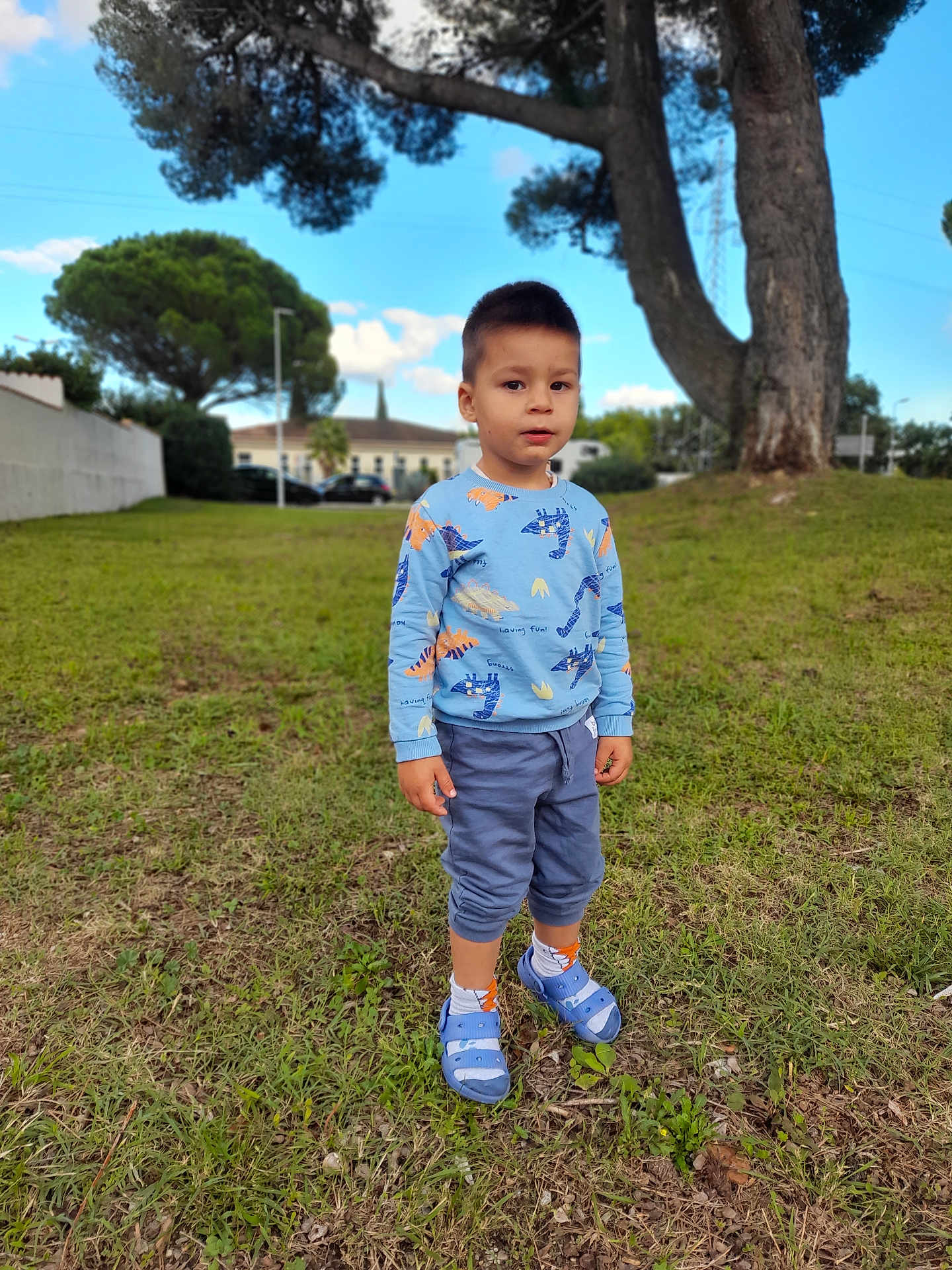 Steclariu a rejoint le concours — aidez-le/la à gagner de superbes lots ! child, boy, grass, tree, outdoor, dinosaur_sweater, blue_shoes, curious, greenery, nature, casual_clothing, daylight, park, young, portrait, standing, sky, clouds, building, serious_expression