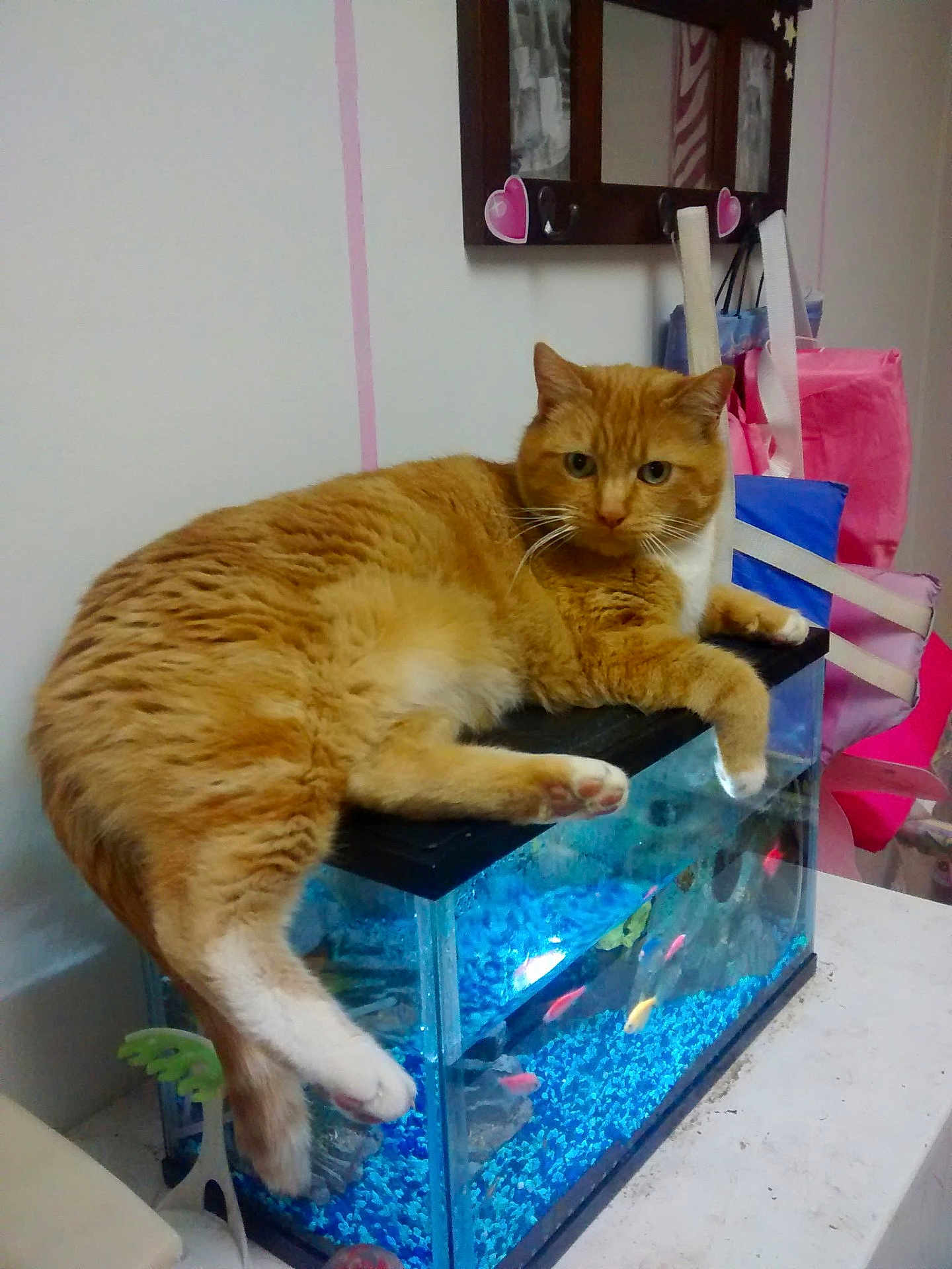 Oscar
