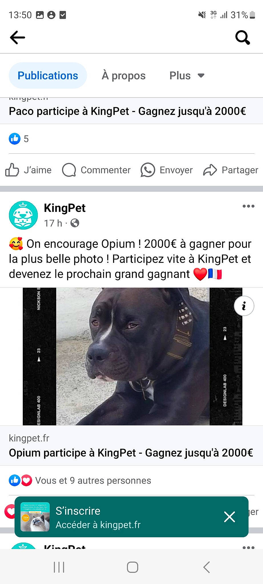 Opium participe au concours pour gagner de l'argent avec cette photo : advertising, automotive_fog_light, brand, carnivore, circle, clock, companion_dog, dog, dog_breed, font, logo, multimedia, number, photo_caption, screenshot, software, terrestrial_animal, web_page, website