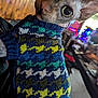 Gem joined the competition — help win amazing prizes! sphynx_cat, cat, pet, knitted_sweater, pattern, dog_pattern, indoor, cozy, blurred_background, wide_eyes, curious, close_up, colorful, warm_lighting, wooden_wall, furniture, animal, portrait, looking_at_camera, domestic_animal