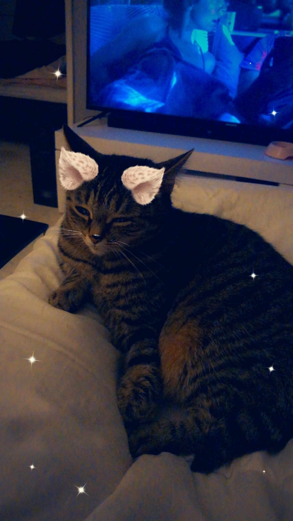 Chipie