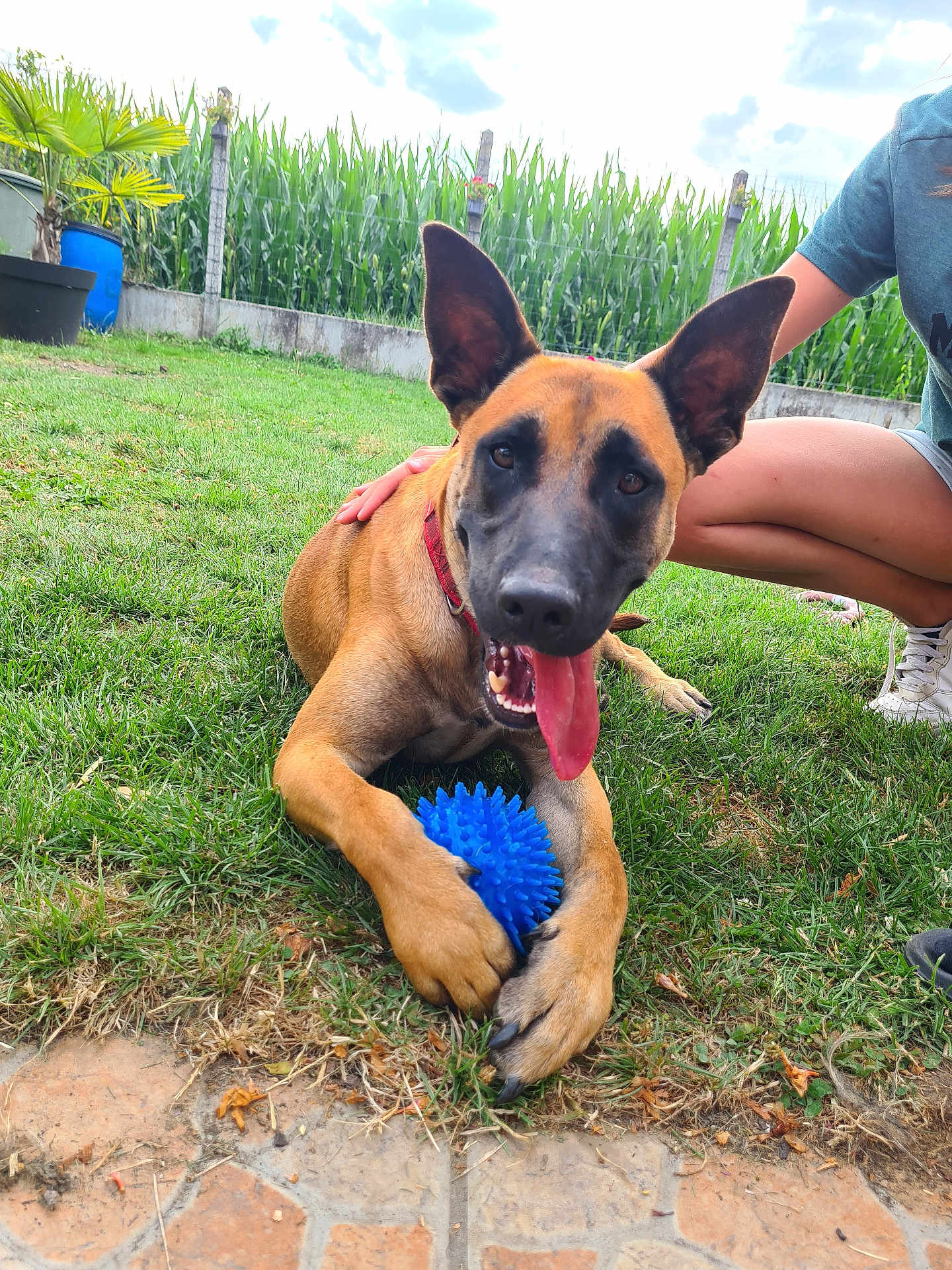 Max