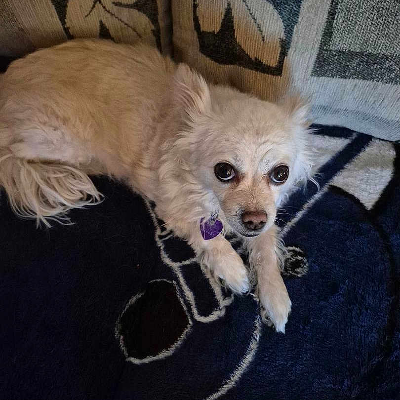 Rosie