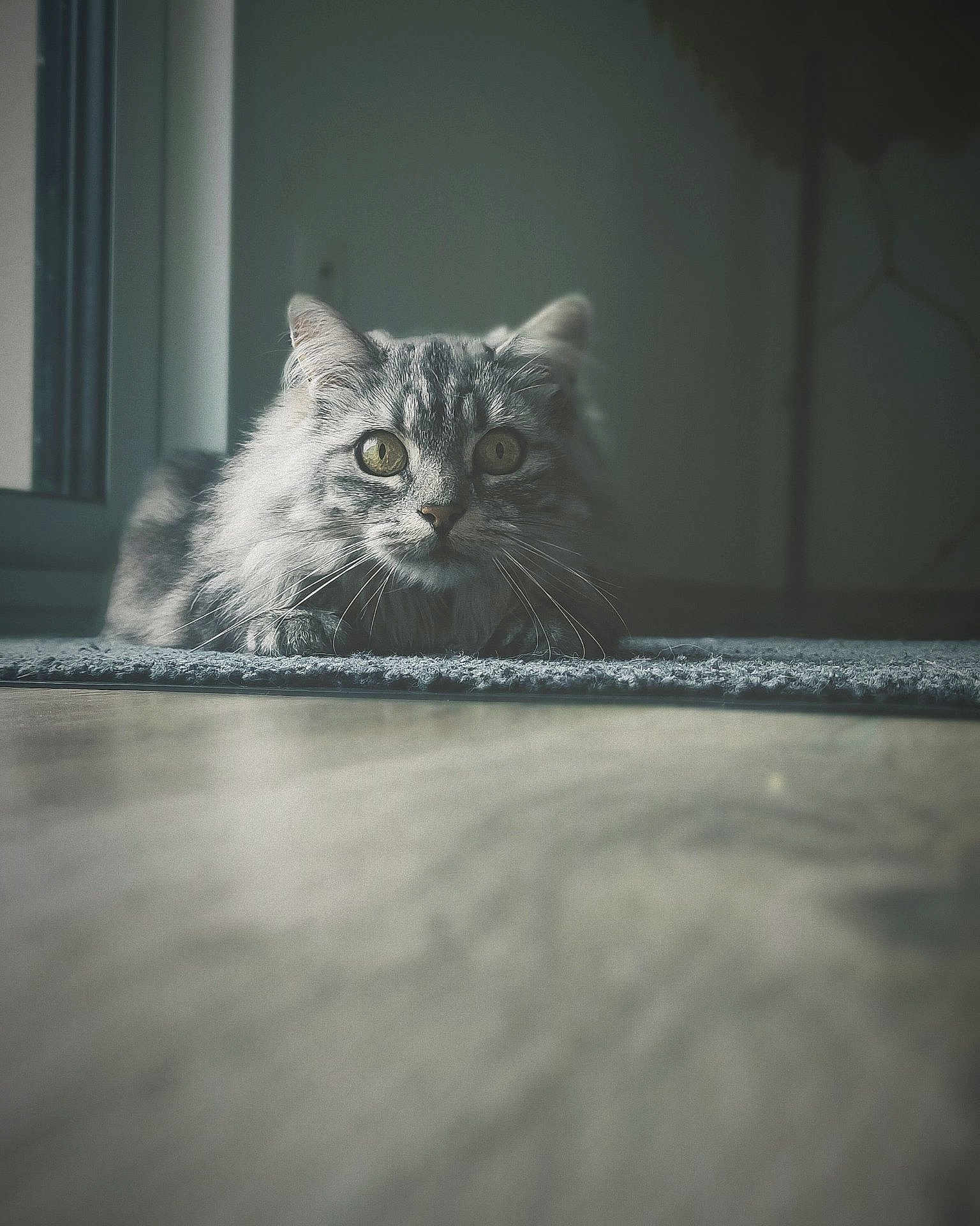 Olympe