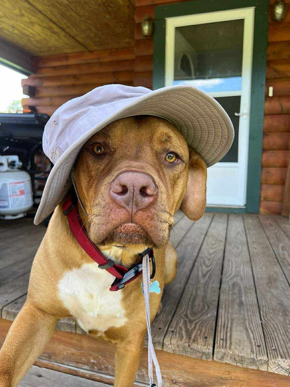 Roscoe
