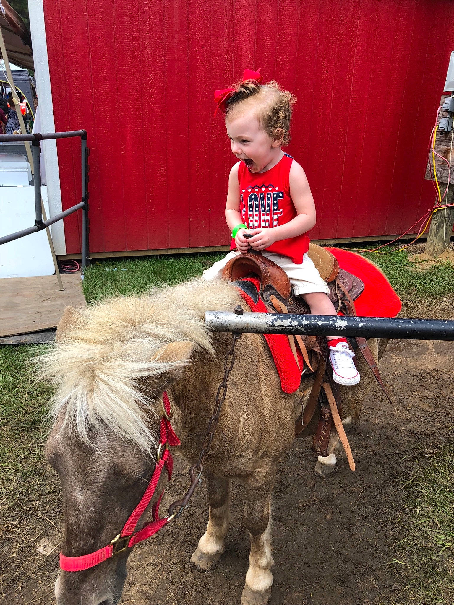 Kadence joined the competition — help win amazing prizes! bridle, child, fun, horse, horse_harness, horse_like_mammal, horse_supplies, horse_tack, livestock, mammal, mane, pack_animal, person, pony, rein, stallion, vertebrate, western_riding