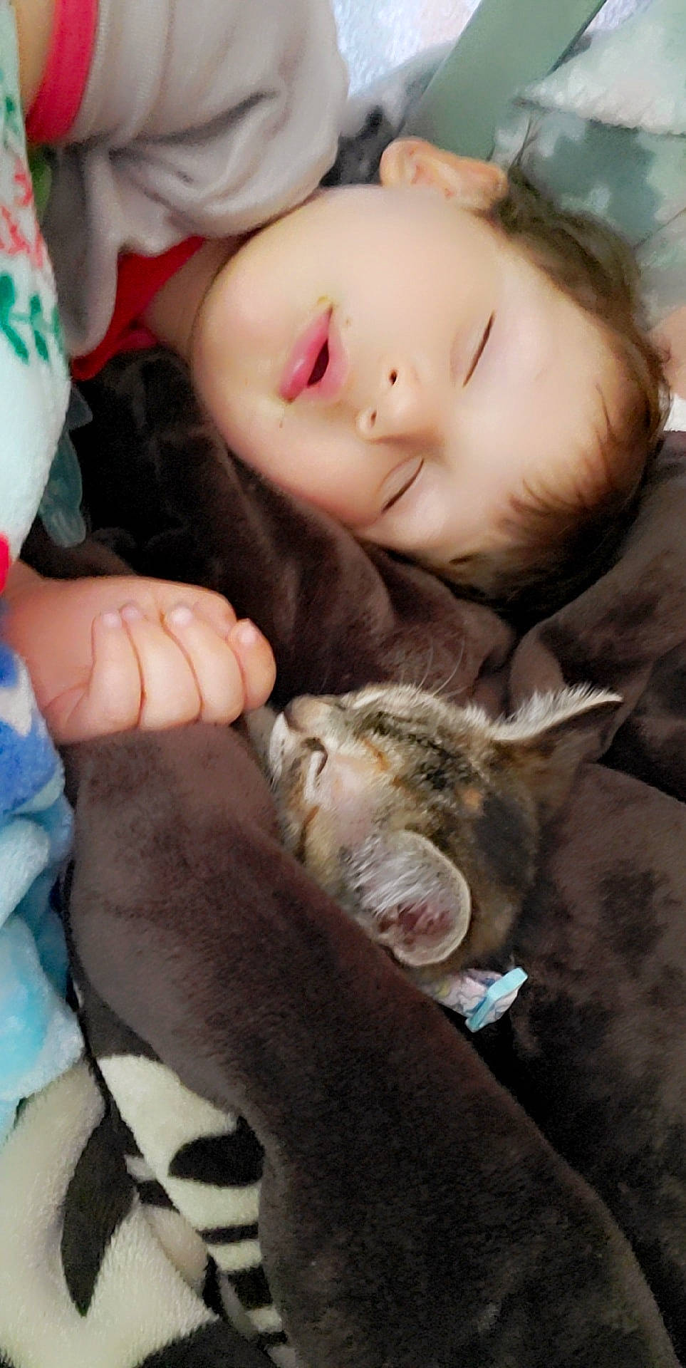 Levi is registered to the contest to win money with this photo: carnivore, child, companion_dog, dog_breed, eyelash, fawn, felidae, fur, gesture, goat, happy, nail, nose, person, skin, small_to_medium_sized_cats, smile, toddler, toy, whiskers