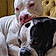 Cooper N Zealous