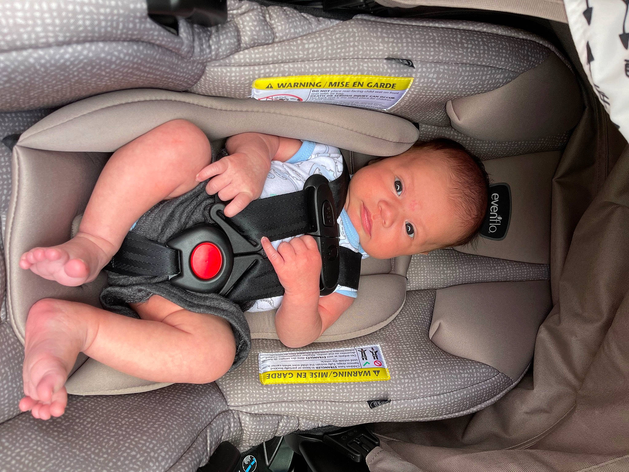 Beaux joined the competition — help win amazing prizes! auto_part, baby, baby_carriage, baby_products, baby_safety, baby_toddler_clothing, bag, car_seat, child, comfort, lap, luggage_and_bags, pattern, person, personal_luxury_car, personal_protective_equipment, recreation, service, sitting, thigh