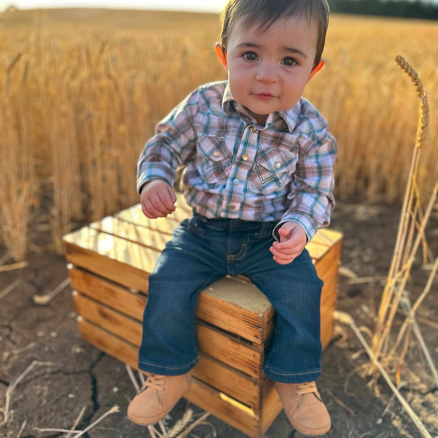 Theo is registered to the contest to win money with this photo: boy, child, clothing, face, footwear, grass, happy, head, jeans, male, pants, person, photography, plant, portrait, shoe, sitting, smile, soil, wood