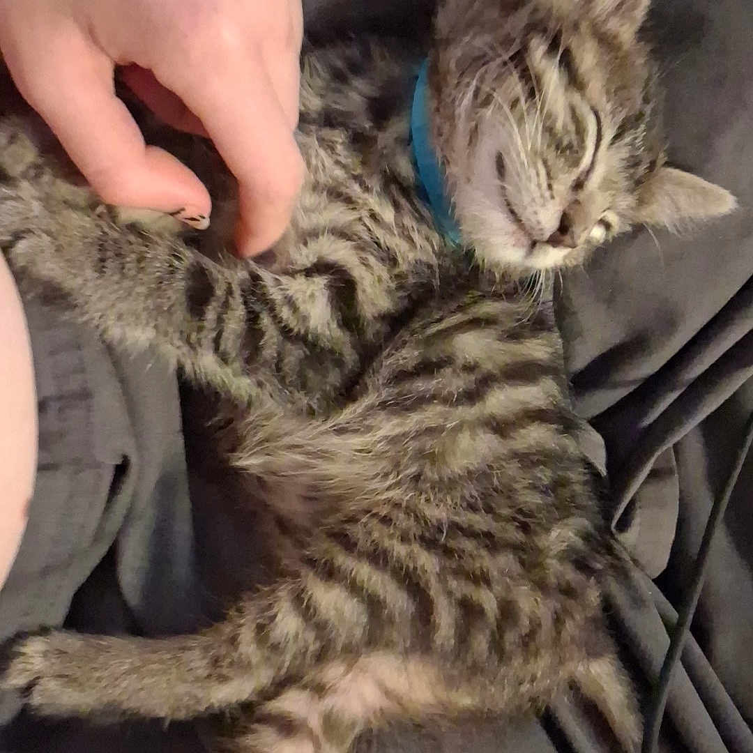 Tigger Marie