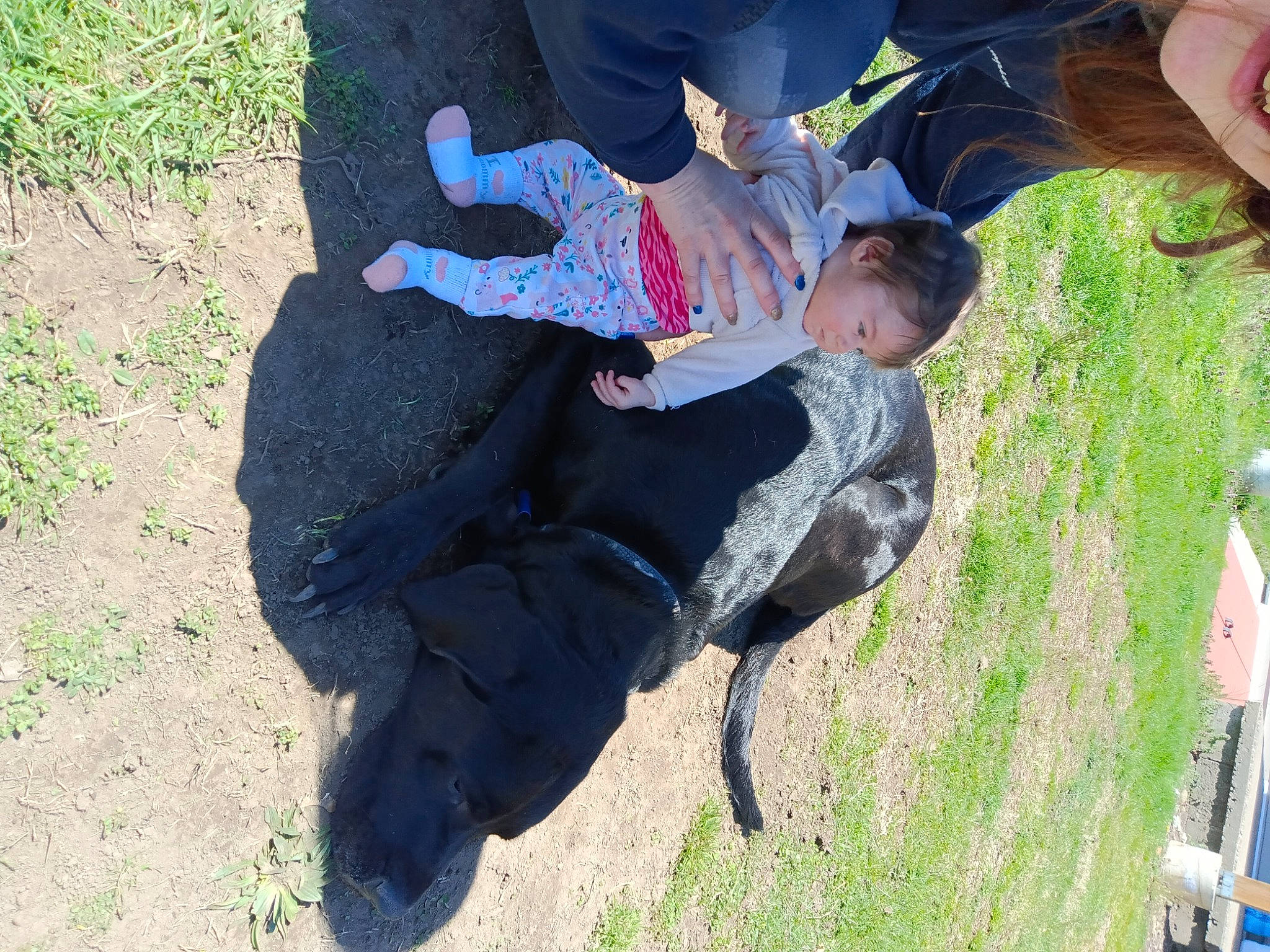 Avery joined the competition — help win amazing prizes! automotive_tire, baby, child, fun, grass, leisure, people_in_nature, person, plant, play, recreation, sitting, soil, sporting_group, toddler, tree