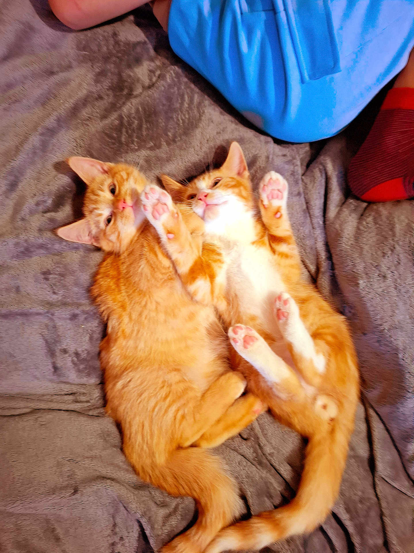 Ronnie And Ziggie
