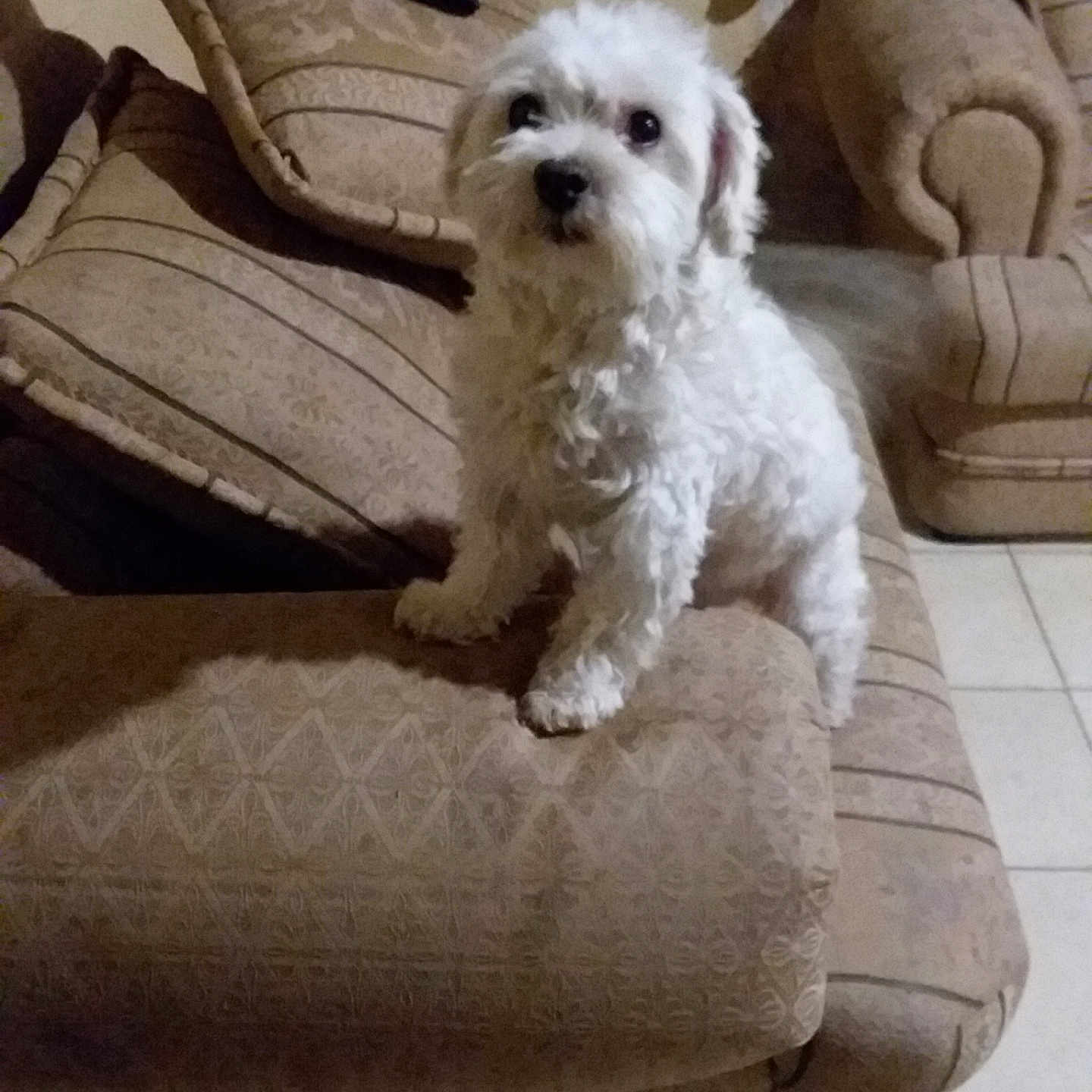 Coco