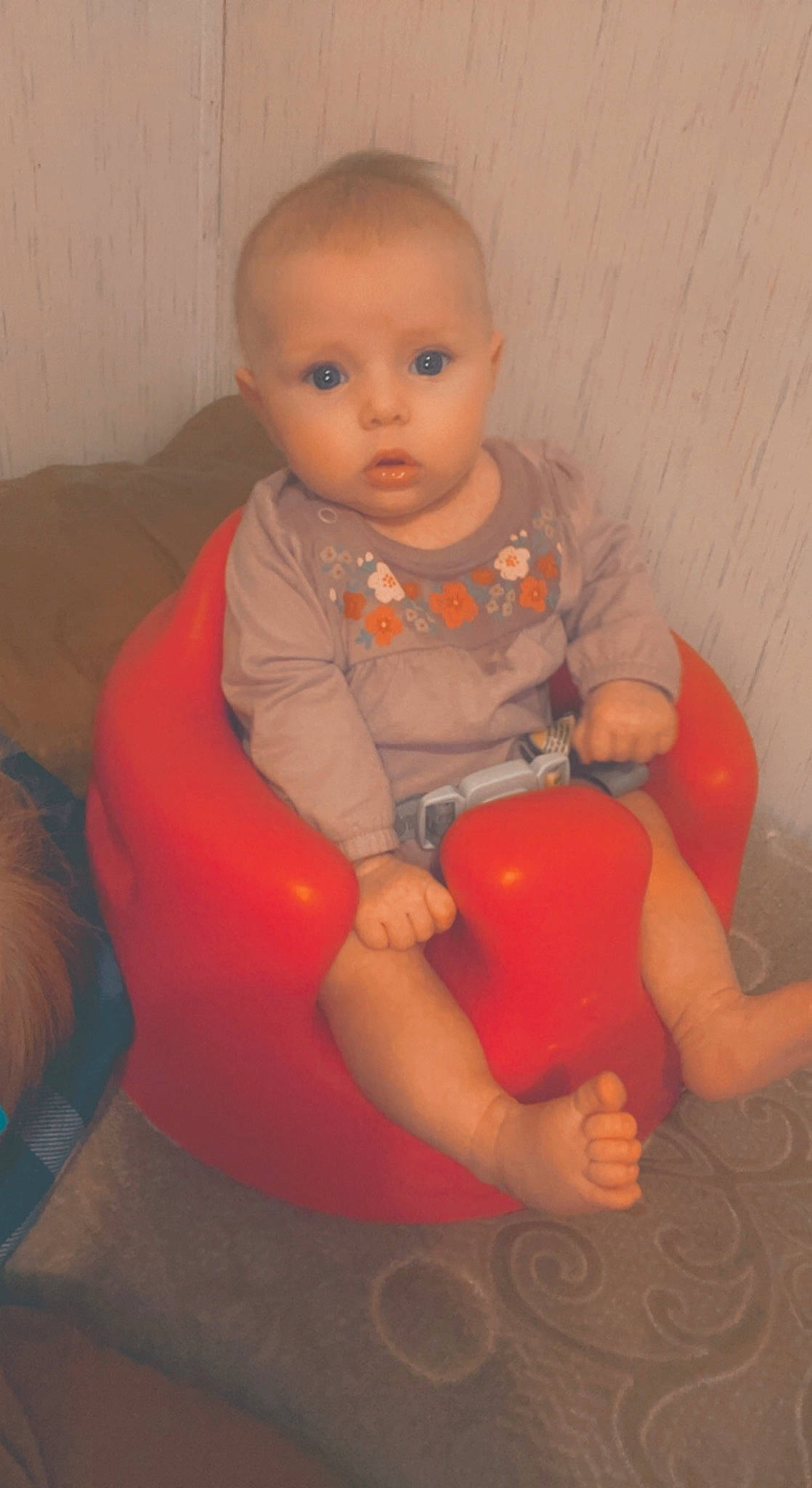 Arizona is registered to the contest to win money with this photo: baby, baby_toddler_clothing, chair, child, comfort, dress, face, flooring, foot, fun, head, human_body, human_leg, knee, lap, leg, orange, person, sitting, thigh