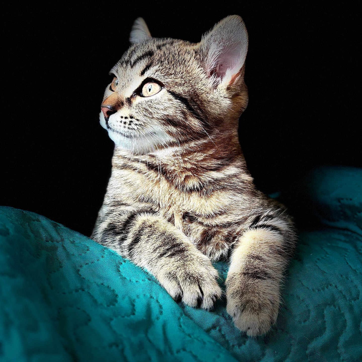 Athena
