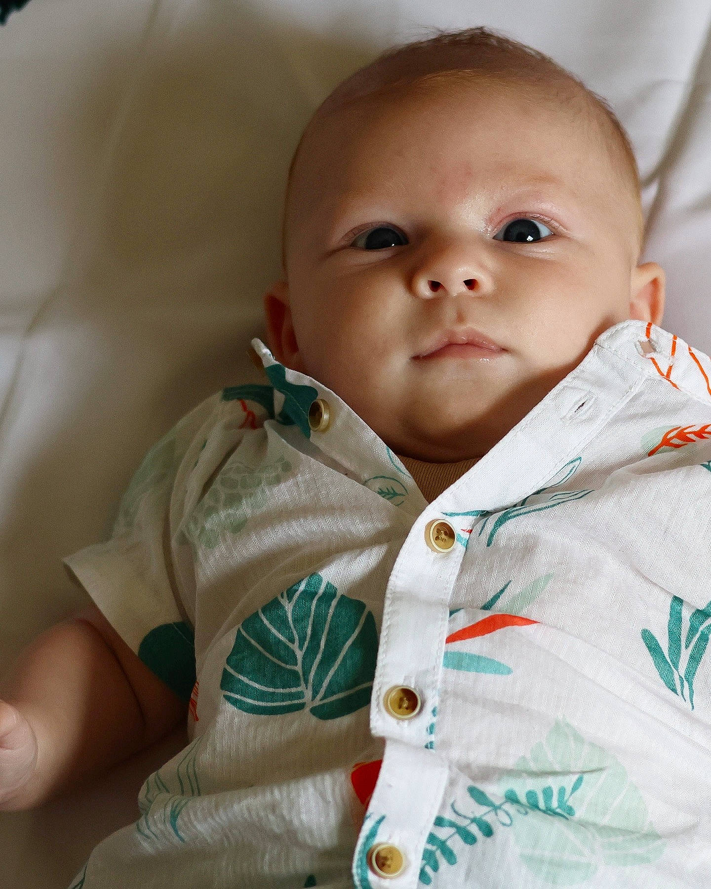 Aaron participe au concours pour gagner de l'argent avec cette photo : baby, baby_products, baby_toddler_clothing, cheek, child, collar, comfort, happy, human_body, iris, linens, lip, nose, outerwear, person, sitting, skin, sleeve, smile, t_shirt