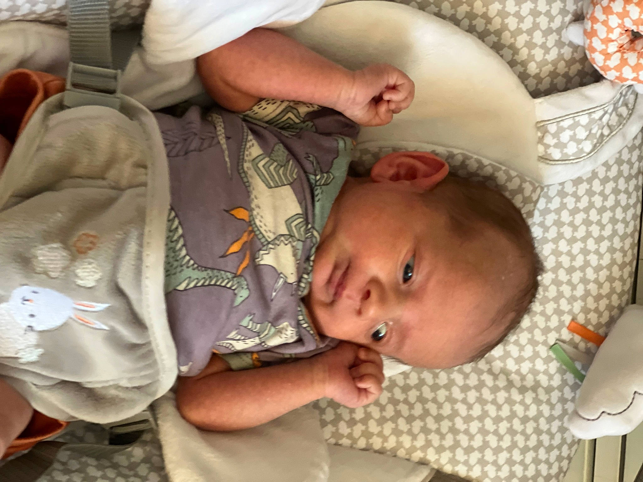 Krew is registered to the contest to win money with this photo: baby, baby_carriage, baby_products, baby_toddler_clothing, cheek, child, chin, comfort, ear, eye, eyebrow, head, infant_bed, iris, lip, mouth, nose, pattern, person, skin