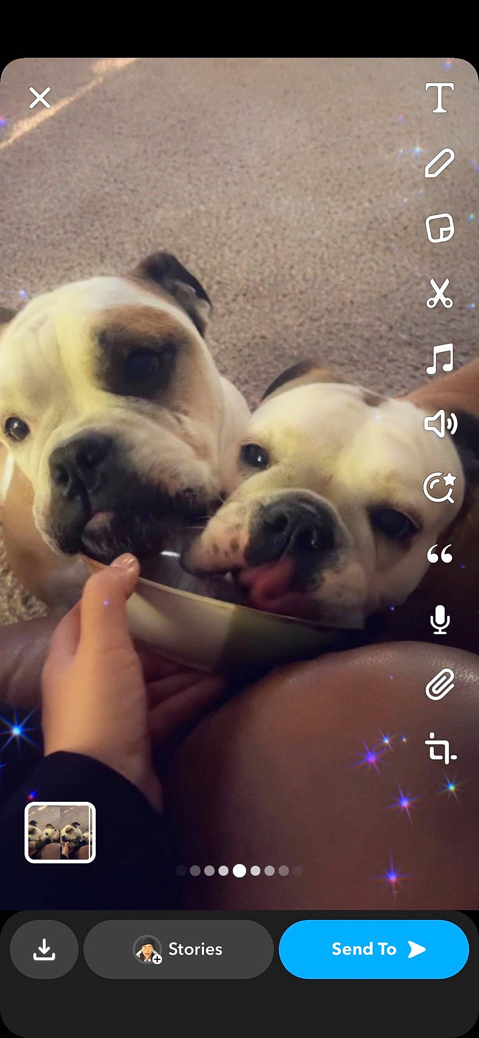 Buck joined the competition — help win amazing prizes! bulldog, carnivore, comfort, companion_dog, dog, dog_breed, fawn, flash_photography, font, happy, mammal, paw, photo_caption, puppy_love, selfie, snout, stock_photography, toy_dog, vertebrate, whiskers