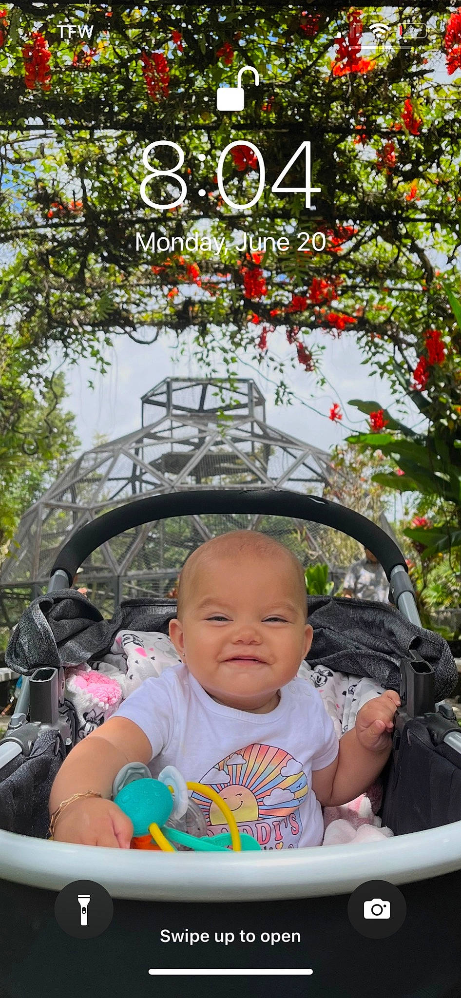 Tyslen Key is registered to the contest to win money with this photo: baby, baby_carriage, baby_products, baby_toddler_clothing, botany, fun, grass, green, happy, leaf, leisure, natural_environment, person, product, recreation, sky, spring, toddler, travel, tree