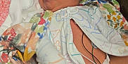 Nyx-Hemera is registered to the contest to win money with this photo: newborn, baby, sleeping, hospital, bassinet, blanket, onesie, medical_wires, pink, white, floral, infant, cute, child, bed, peaceful, wrapped, soft, healthcare, resting