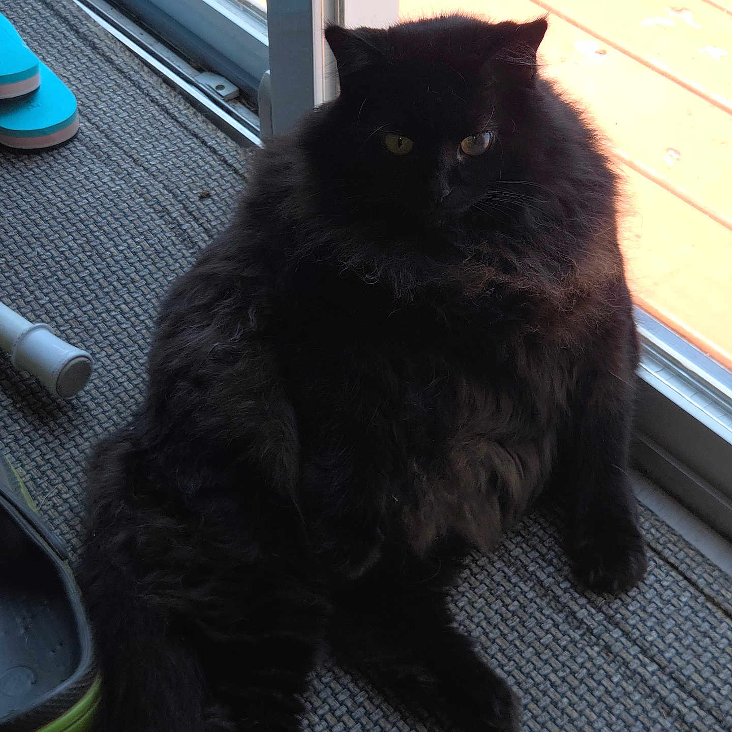 Missy