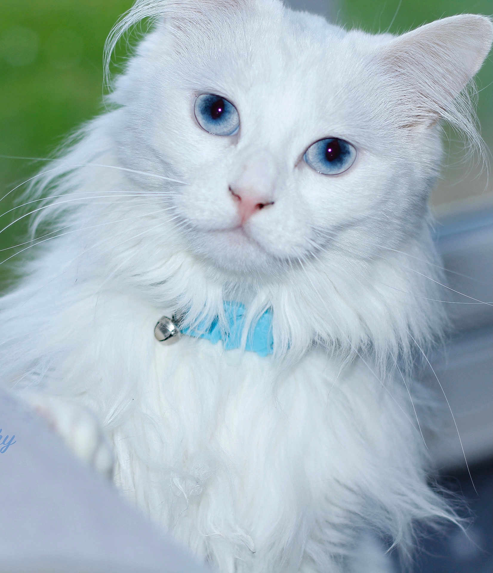 Luna