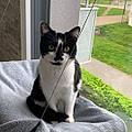 Maeva L.