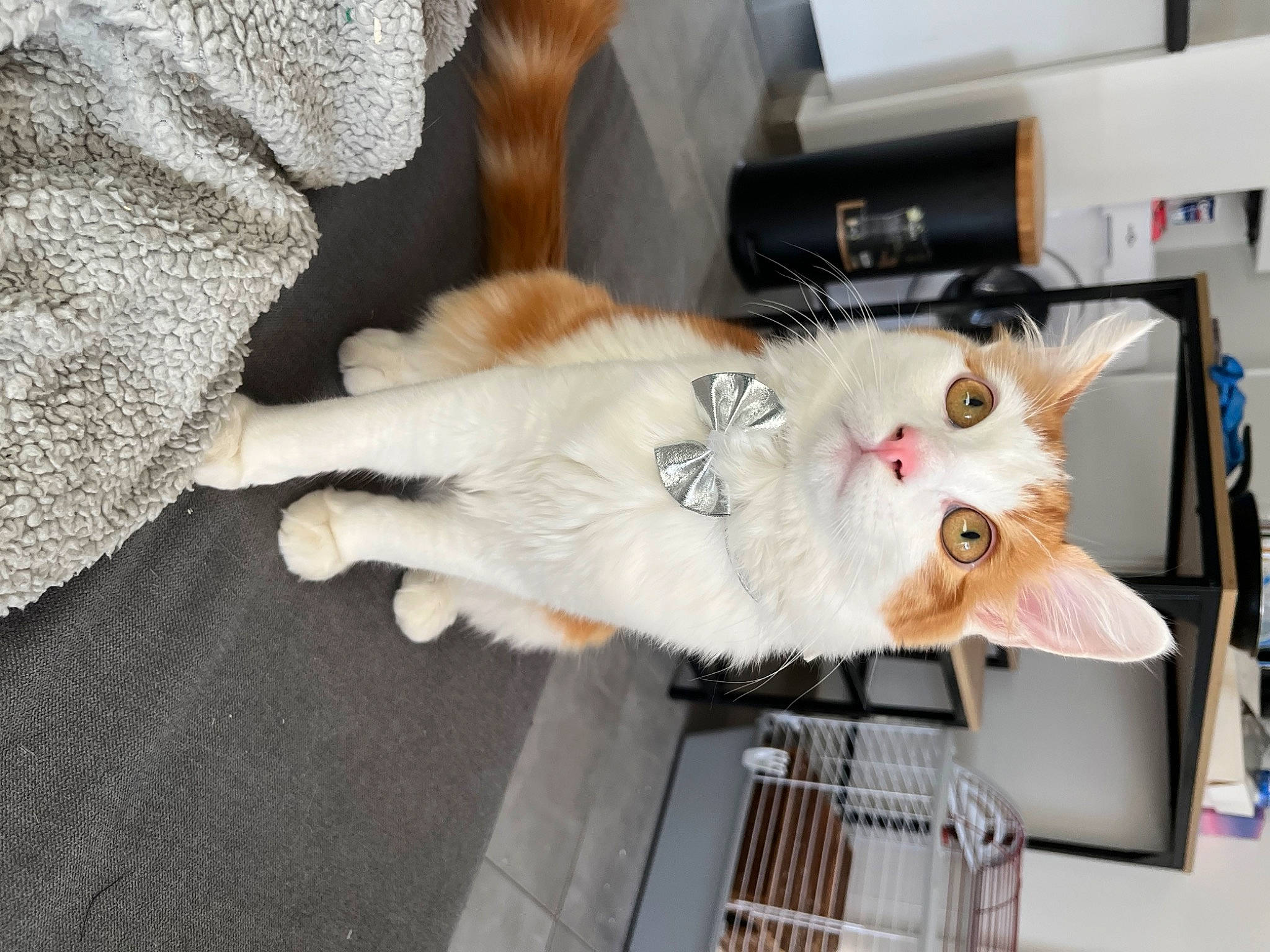 Tigrou