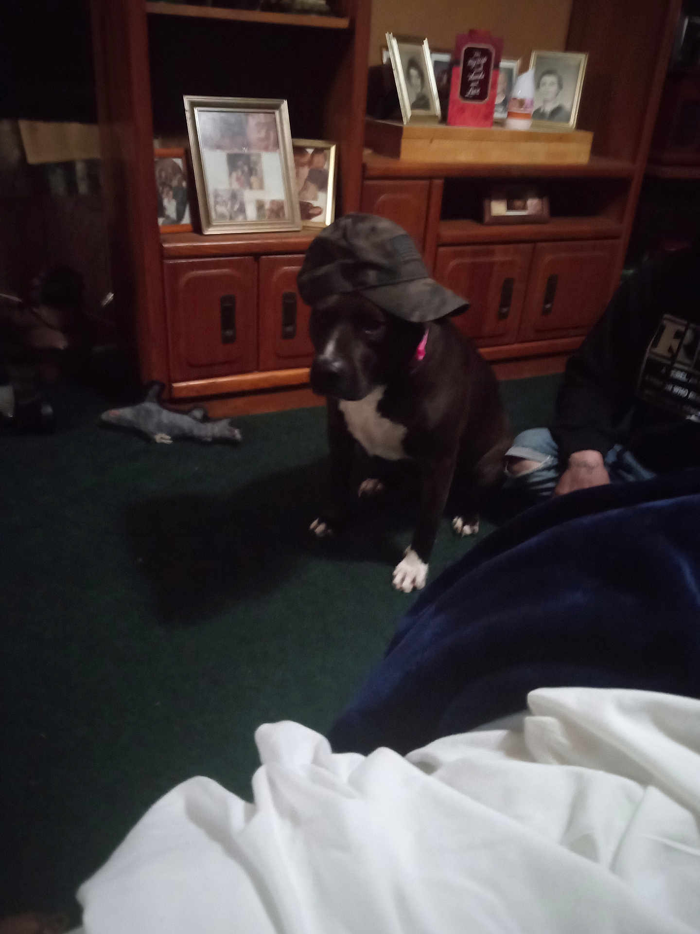 Coco
