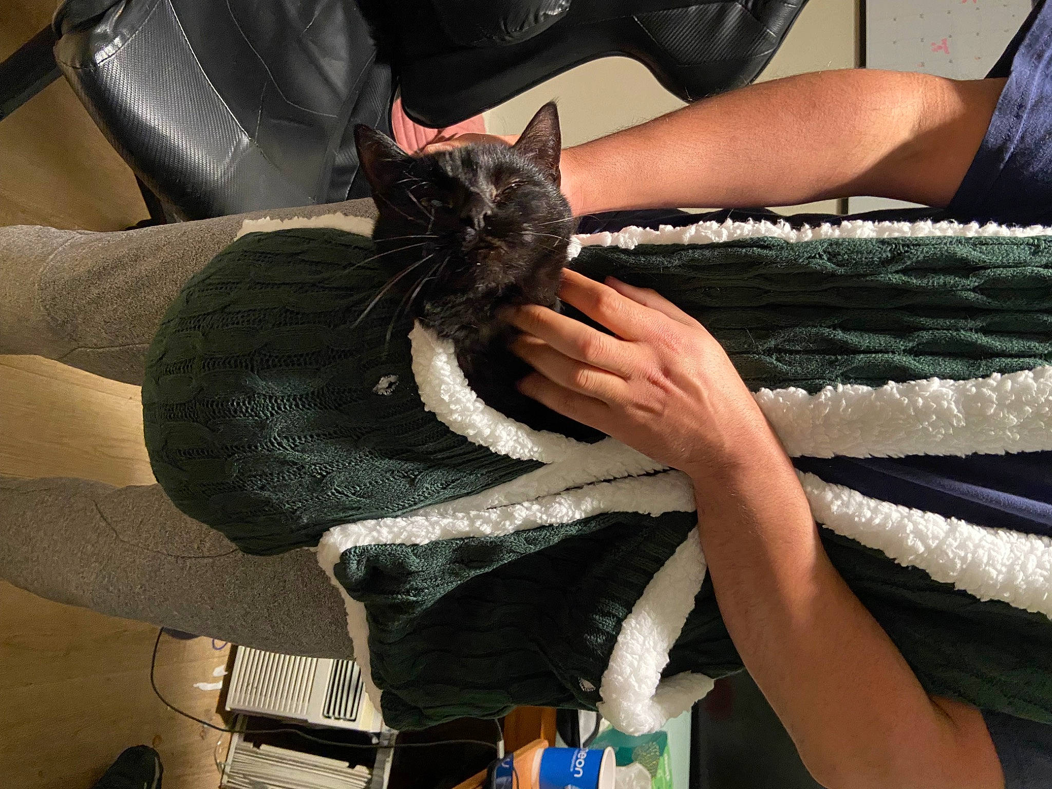 Dinah is registered to the contest to win money with this photo: black_cat, carnivore, cat, comfort, denim, domestic_short_haired_cat, felidae, finger, fur, gesture, human_leg, joint, lap, nail, shoe, small_to_medium_sized_cats, thigh, thumb, whiskers, wrist