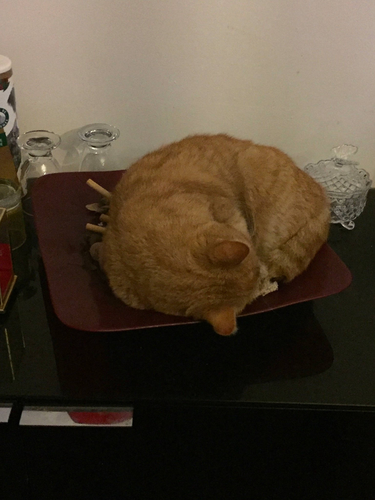 Chatounette participe au concours pour gagner de l'argent avec cette photo : cat, felidae, fur, small_to_medium_sized_cats