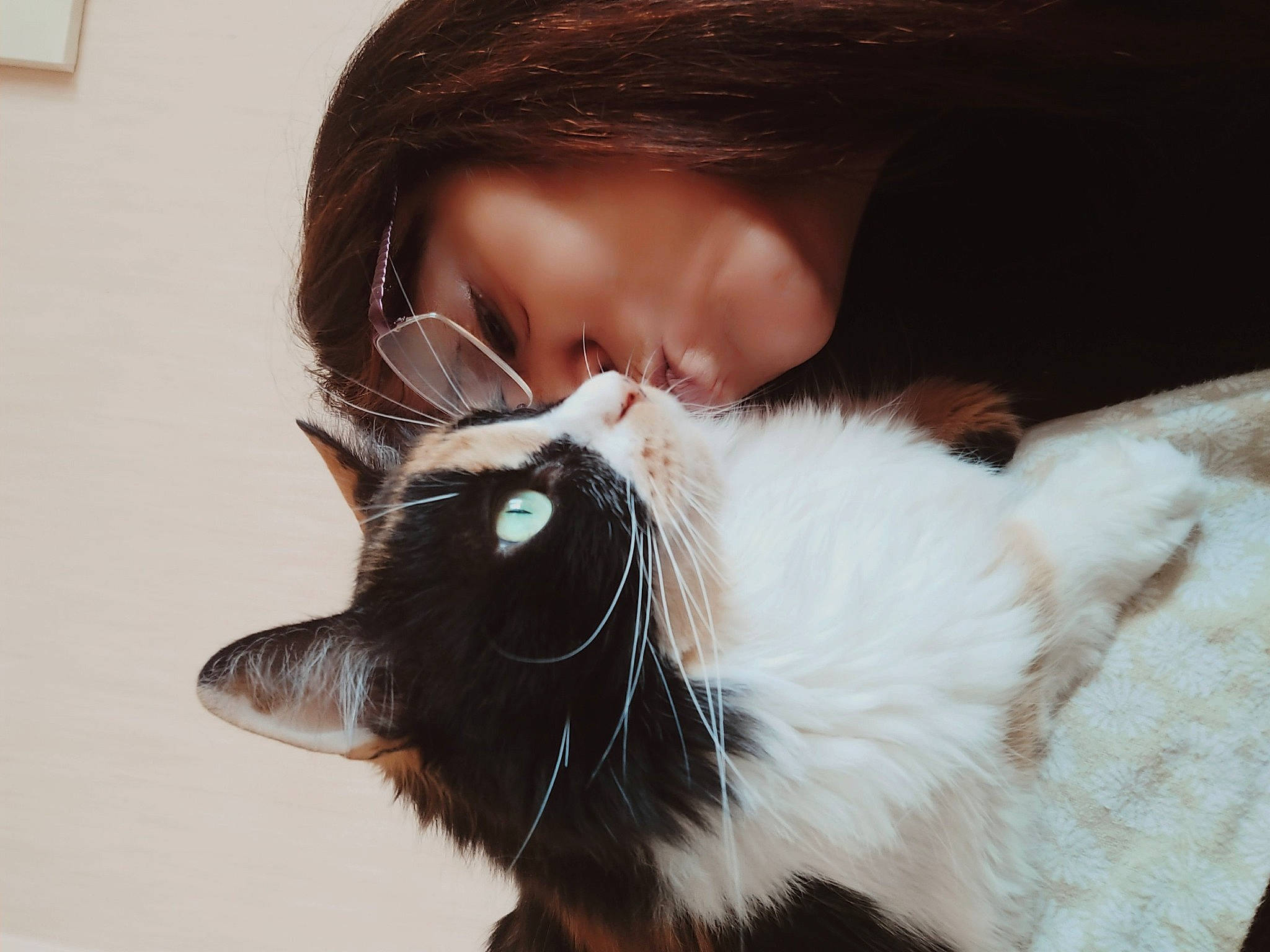 Pitou participe au concours pour gagner de l'argent avec cette photo : carnivore, cat, cool, ear, eye, felidae, formal_wear, fur, goats, hair, head, iris, long_hair, neck, nose, organ, selfie, skin, small_to_medium_sized_cats, whiskers