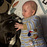 Bowen joined the competition — help win amazing prizes! animal, baby, blanket, bond, child, comfort, cute, dog, face, friendship, indoor, infant, lying_down, mammal, pet, playful, striped_clothing, together, touching, young_child