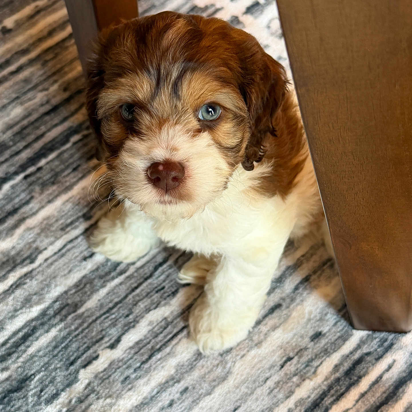 Milo
