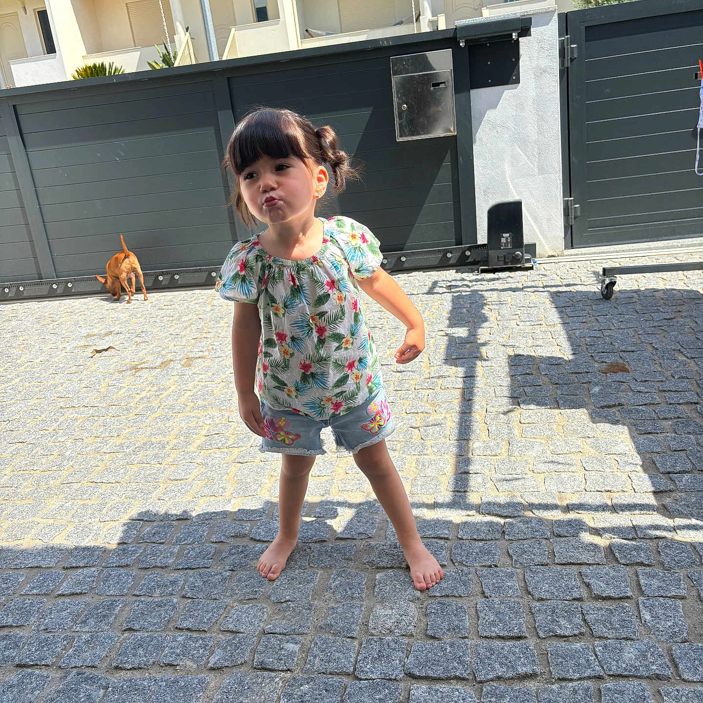 Sarah participe au concours pour gagner de l'argent avec cette photo : child, city, clothing, cobblestone, dress, face, female, flagstone, girl, head, path, person, photography, portrait, road, shorts, slate, street, urban, walkway