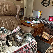 Kitty joined the competition — help win amazing prizes! cat, tabby_cat, furniture, armchair, blanket, table, pet_crate, pet_bed, living_room, wooden_floor, painting, lamp, decor, door, household_items, cozy, domestic, indoor, relaxed, animal