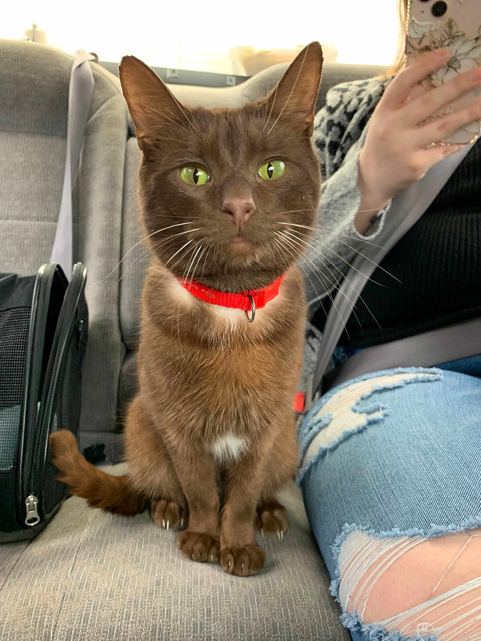Miso