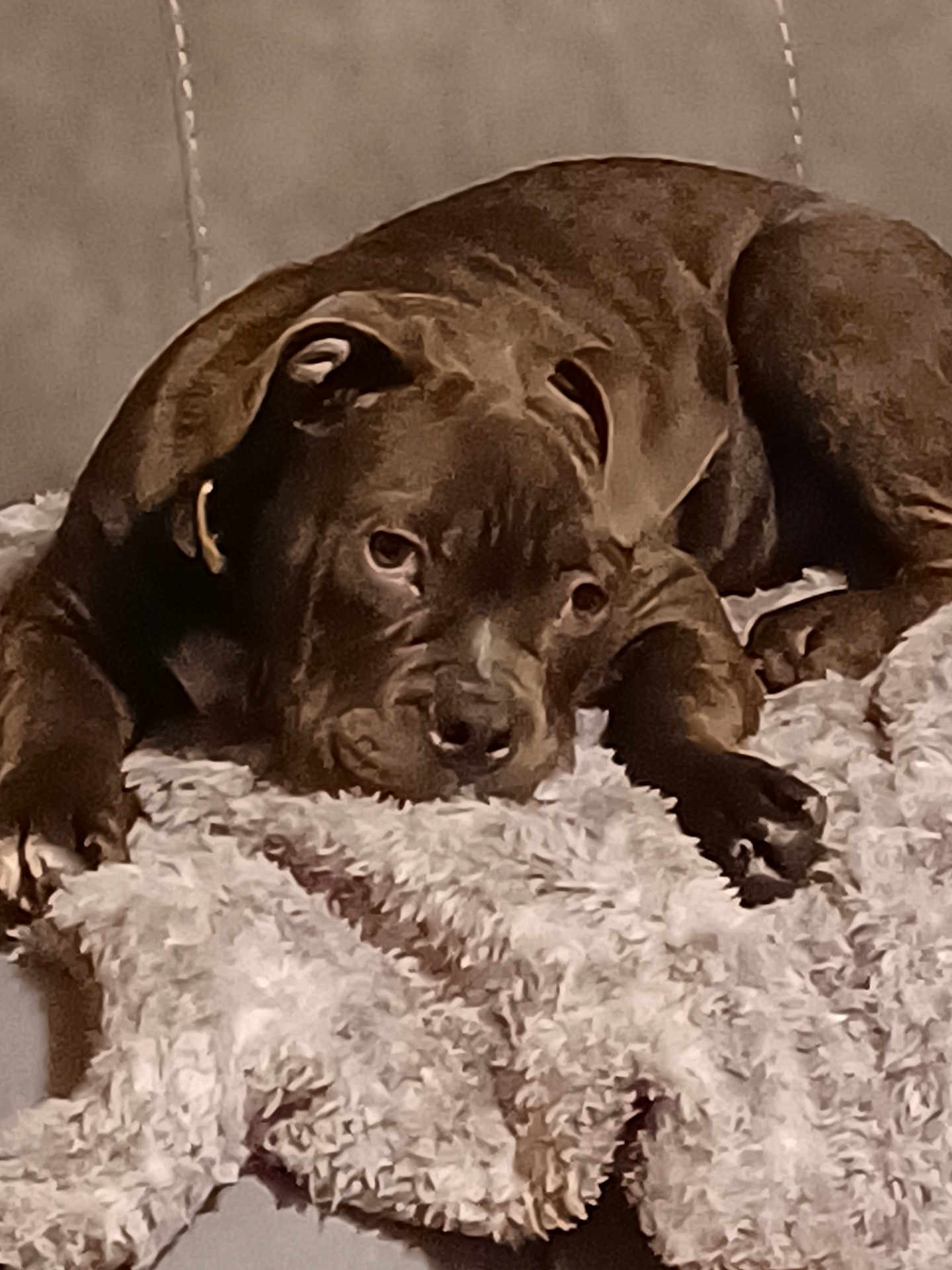 Diesel