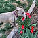 Sadie