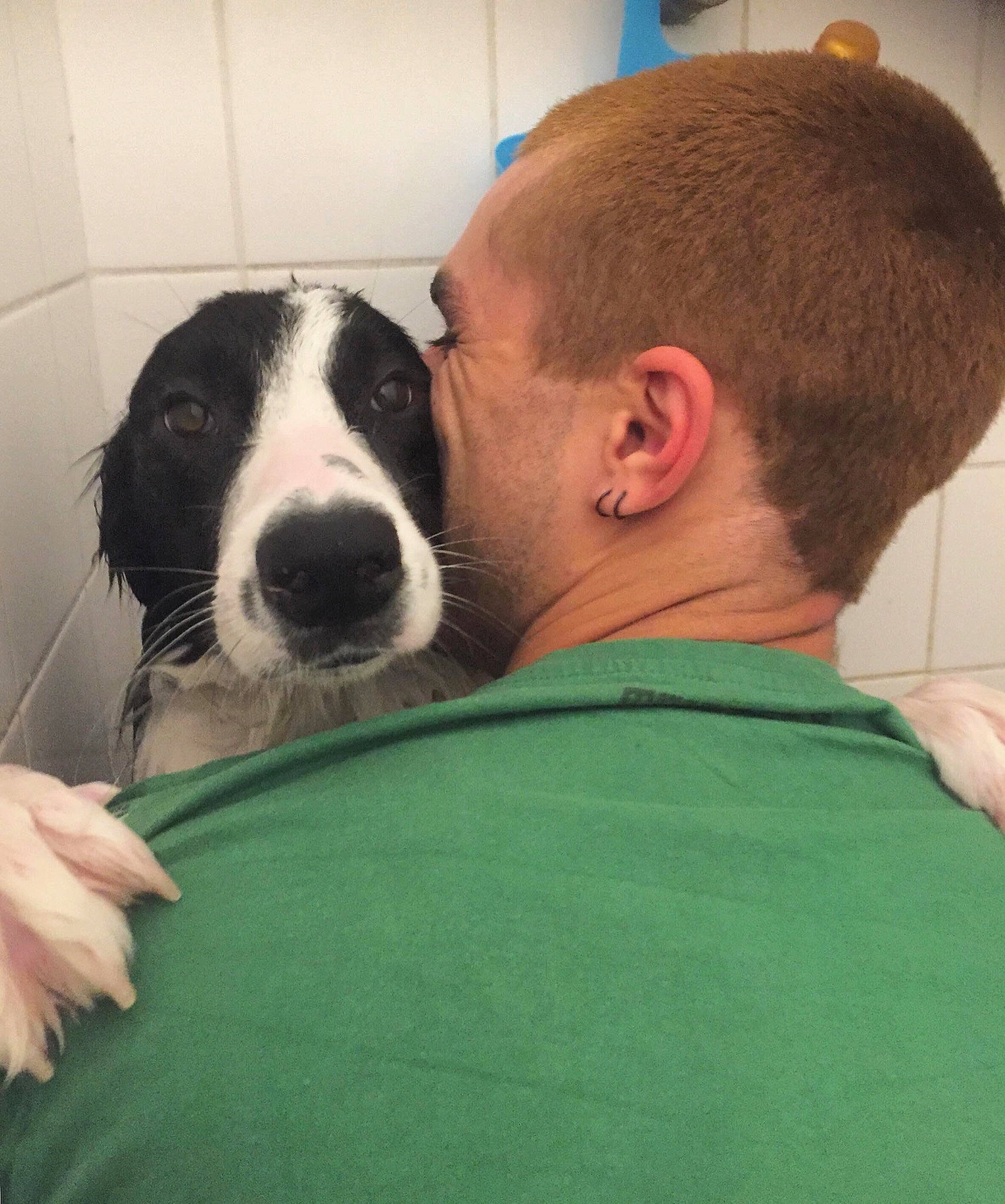 Mingus a rejoint le concours — aidez-le/la à gagner de superbes lots ! animal_training, back, carnivore, companion_dog, dog, dog_breed, ear, fur, interaction, kiss, love, mammal, neck, organ, snout, sporting_group, t_shirt, vertebrate, working_animal, working_dog