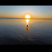 Méli participe au concours pour gagner de l'argent avec cette photo : sunset, beach, dog, water, reflection, silhouette, nature, outdoor, calm, sky, horizon, sun, evening, peaceful, landscape, animal, vacation, travel, serene, shallow_water