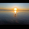 sunset, beach, dog, water, reflection, silhouette, nature, outdoor, calm, sky, horizon, sun, evening, peaceful, landscape, animal, vacation, travel, serene, shallow_water