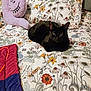 black_cat, cat, bed, floral_pattern, pillow, plush_toy, stuffed_animal, cozy, indoor, pet, animal, resting, feline, cute, domestic_cat, blanket, comfort, sleepy, home, relaxed