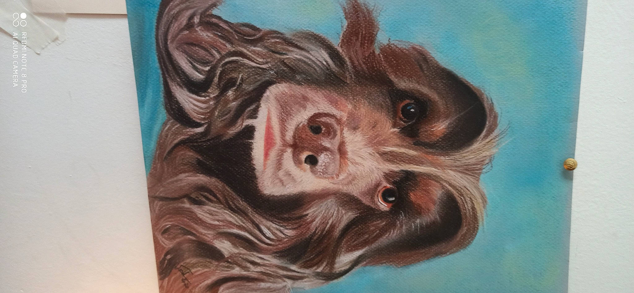 Monsieur participe au concours pour gagner de l'argent avec cette photo : art, dog, drawing, ear, eye, eyebrow, eyelash, facial_hair, hair, head, illustration, iris, jaw, liver, nose, paint, painting, self_portrait, snout, wood