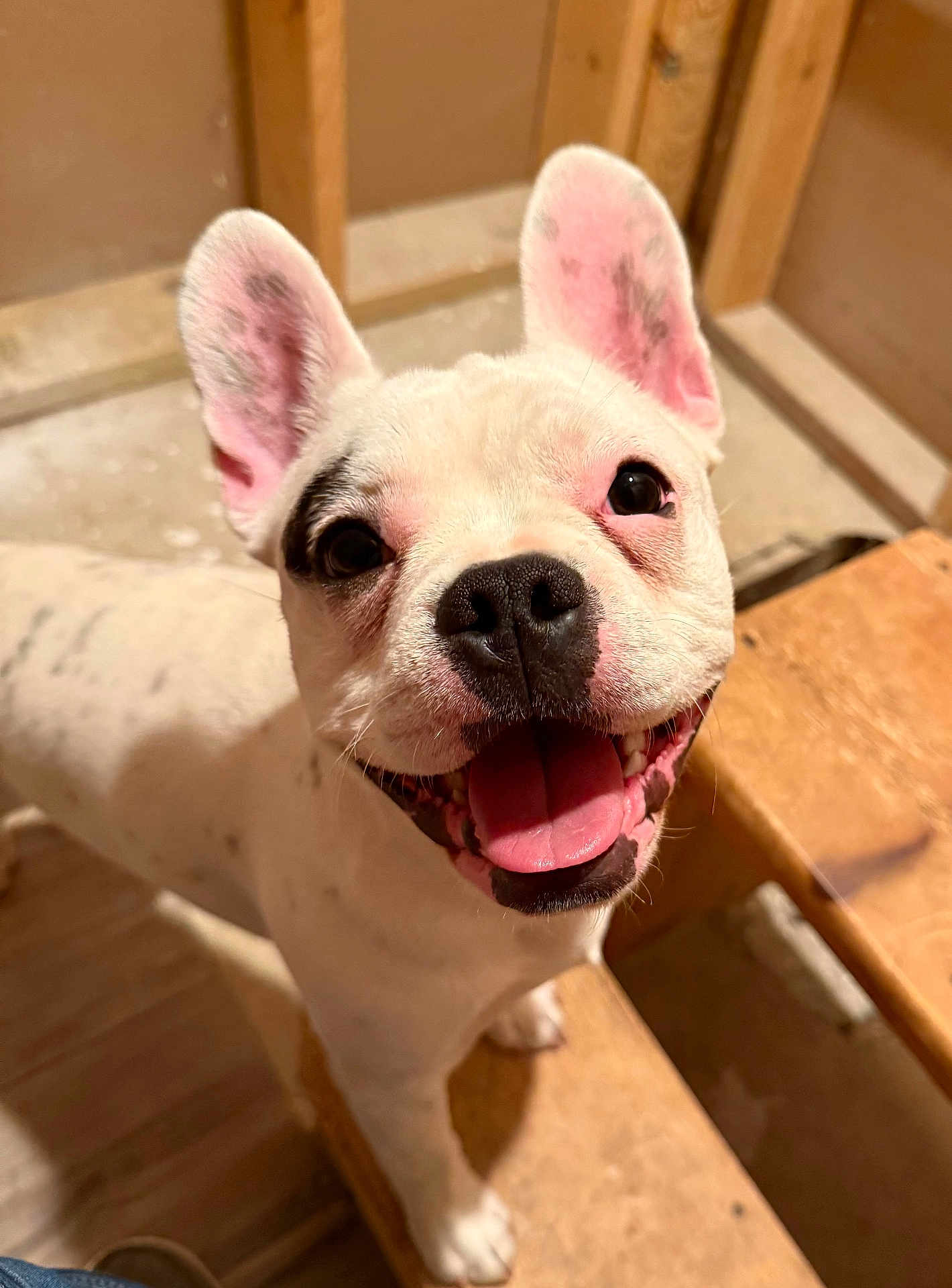 Petey