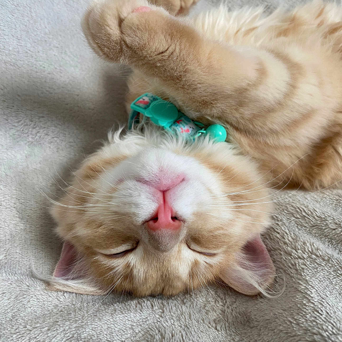 Benji