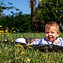 baby, blanket, child, cute, daylight, flower_bouquet, grass, greenery, happy, infant, nature, outdoor, playful, portrait, purple_flowers, relaxing, smiling, sunny, wildflowers, yellow_flowers