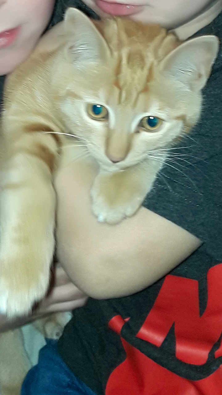 Marley